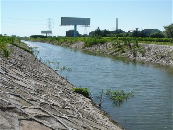 黑河道處理問題 黑河道處理問題